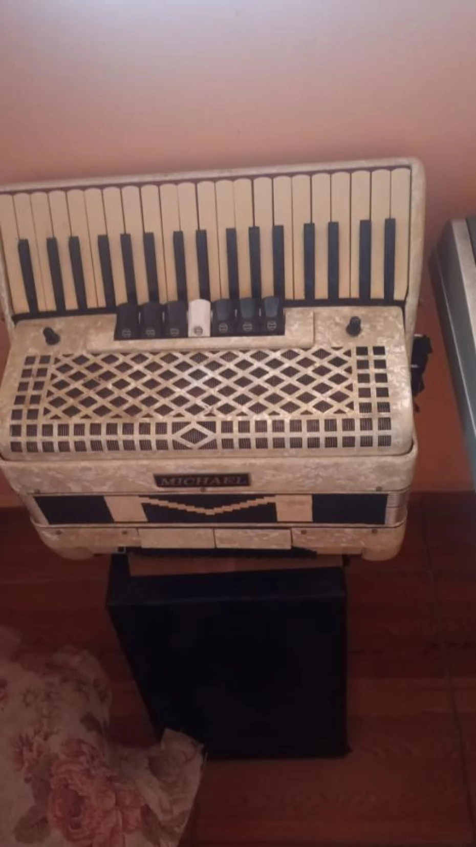 Foto 7:  — José Augusto - Aulas de Acordeon e outros Instrumentos Musicais
